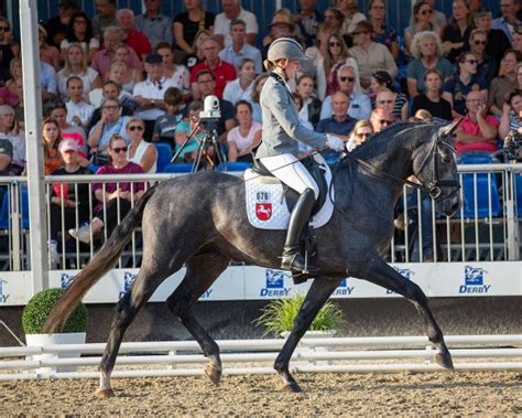 Bloomingdale: Deckhengst, 1 horse.movie, Pedigree, Ergebnisse.